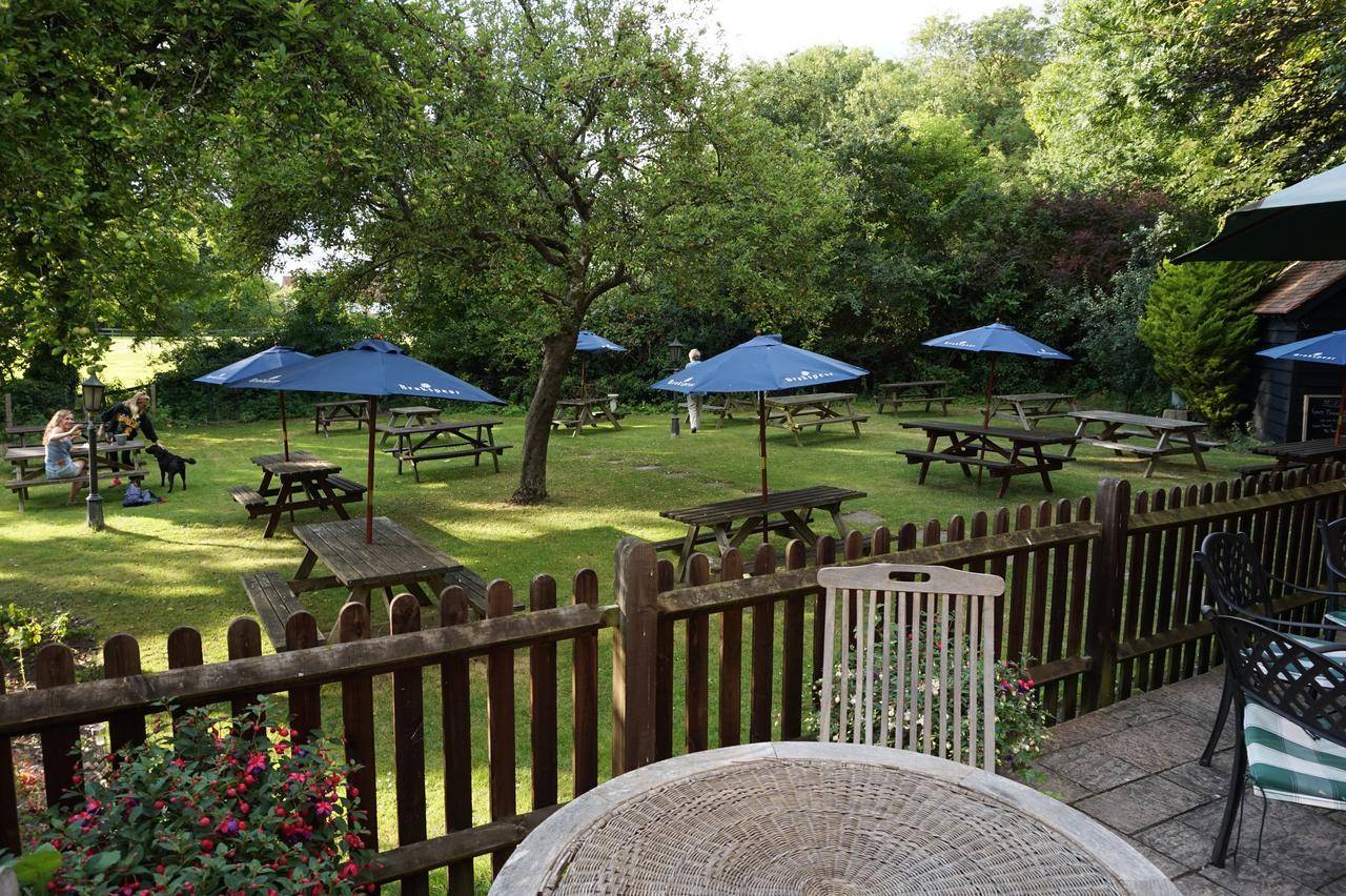 ディドコット The Red Lion Pub & Kitchen Bed & Breakfast エクステリア 写真